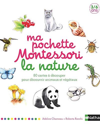 100 activités Montessori pour préparer mon enfant à lire et à écrire - Mondial Kids
