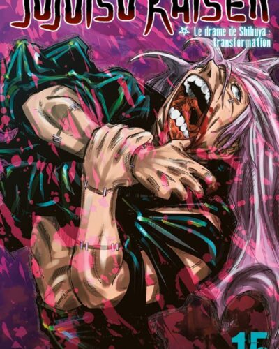 Jujutsu Kaisen T15
