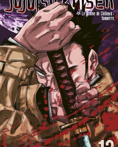 Jujutsu Kaisen T13