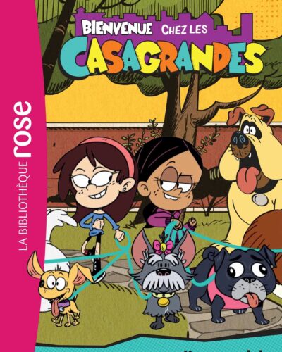 Ariol, Tome 14: Ce nigaud d'agneau - Mondial Kids
