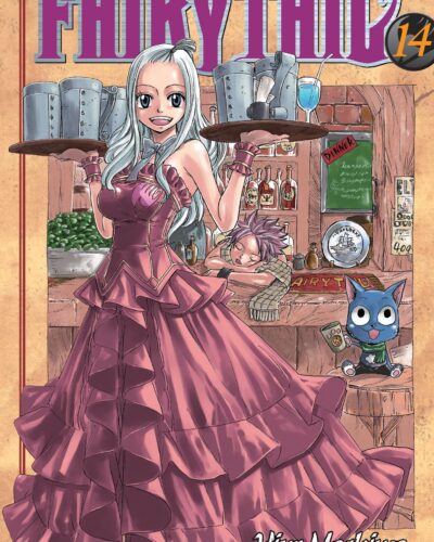 Fairy Tail, Vol. 14