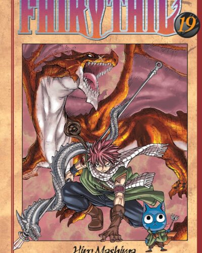 FAIRY TAIL 19