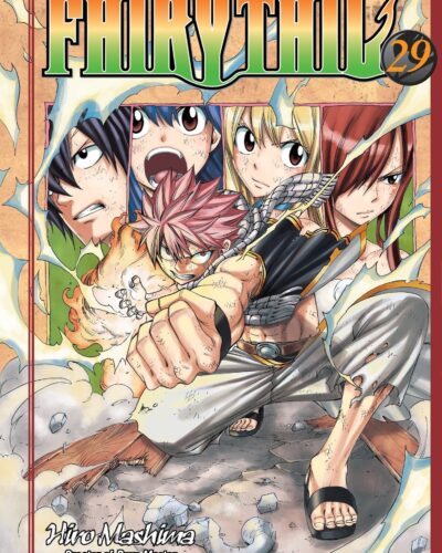 FAIRY TAIL 29