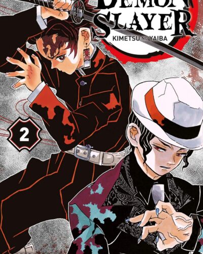 Demon Slayer T02