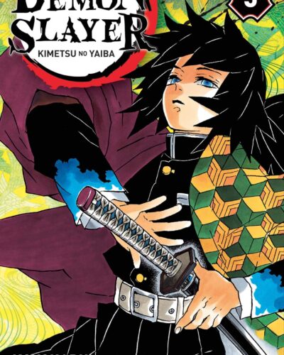 Demon Slayer T05