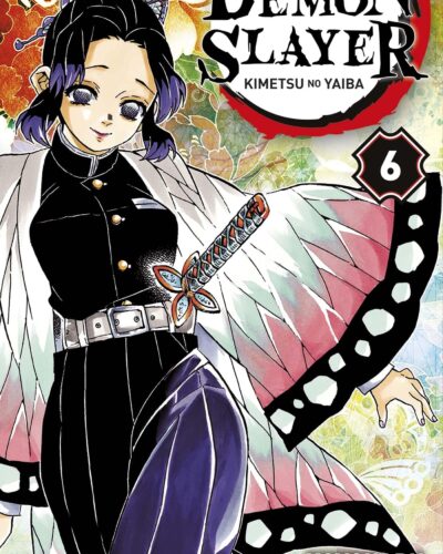 Demon Slayer T06
