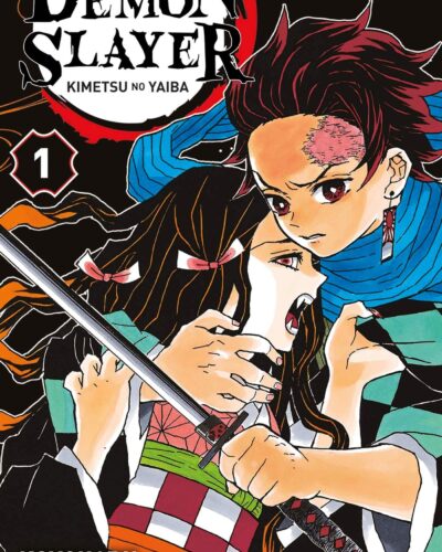 Demon Slayer T01