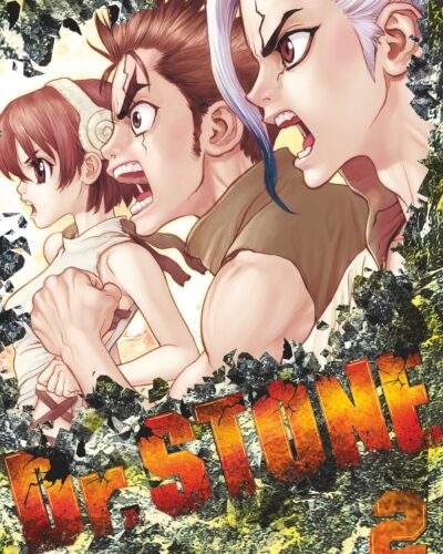 Dr. Stone - Tome 02: Les deux nations du monde de pierre