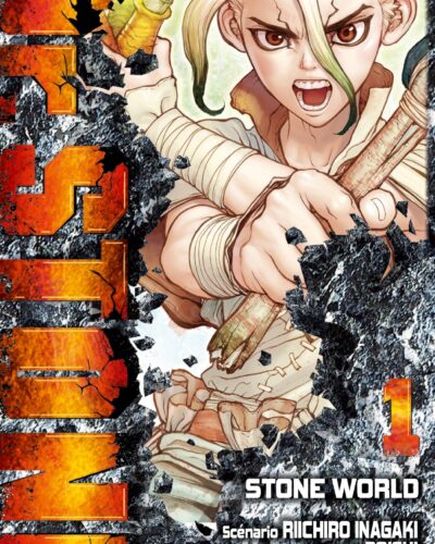 Dr. Stone - Tome 01: Stone World