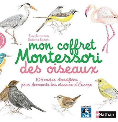 Mon Coffret Montessori des Oiseaux - Dès 3 ans