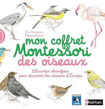 Madame Princesse et le Petit Pois - Mondial Kids