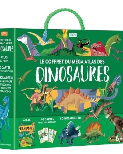 Boîte à quizz e-penser - Mondial Kids