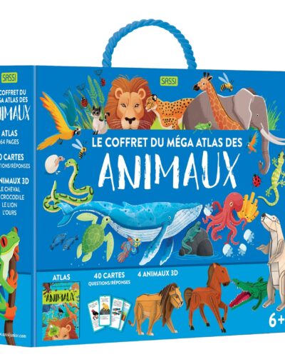 Boîte à quizz e-penser - Mondial Kids