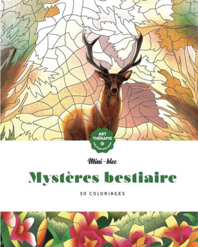 Anti Stress Mini-blocs d'Art-thérapie Mystères Bestiaire
