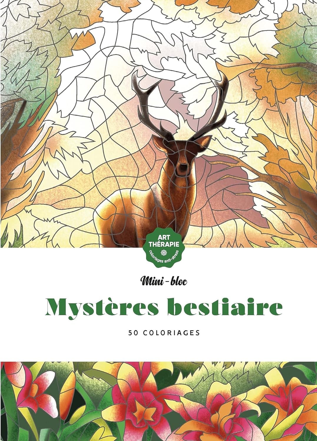 Anti Stress Mini-blocs d'Art-thérapie Mystères Bestiaire