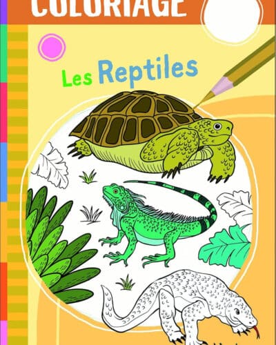 Les animaux des récifs - Coloriage - Mondial Kids
