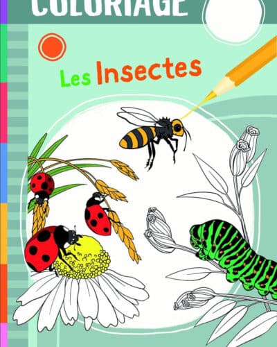 Les animaux de la savane - Coloriage - Mondial Kids