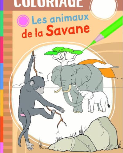 Les insectes - Coloriage - Mondial Kids